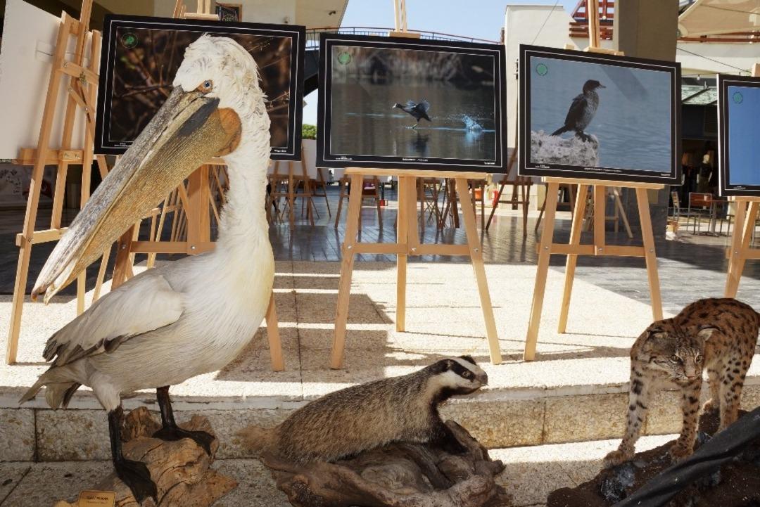 Doğa Koruma&rsquo;dan anlamlı sergi
