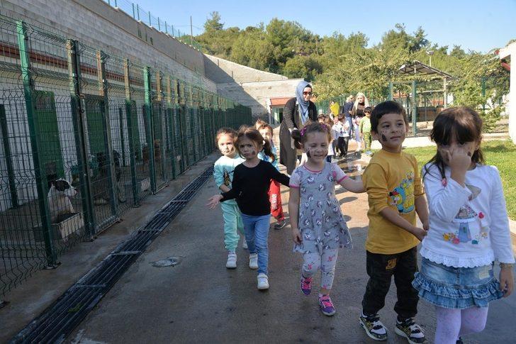 Öğrencilerden Sokak Hayvanları Tedavi Merkezine ziyaret G2
