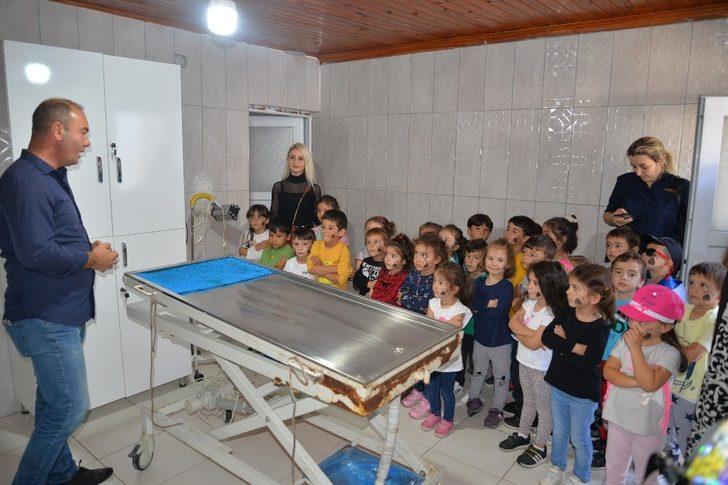 Öğrencilerden Sokak Hayvanları Tedavi Merkezine ziyaret G5