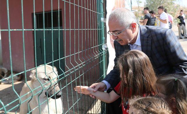 Büyükşehir Belediyesi’nden Hayvanları Koruma Günü etkinliği