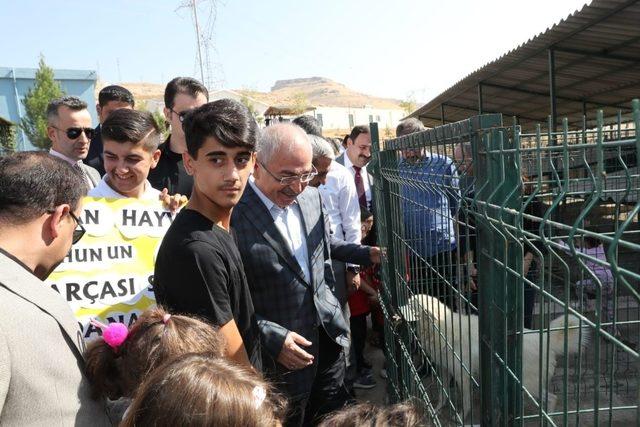 Büyükşehir Belediyesi’nden Hayvanları Koruma Günü etkinliği