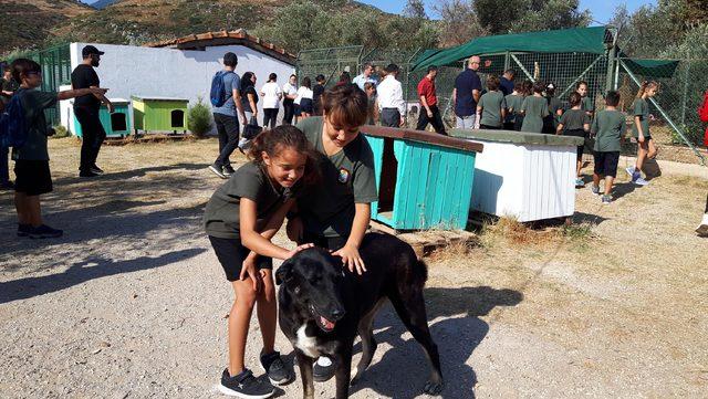 Datçalı öğrencilerden barınaktaki hayvanlara mama desteği