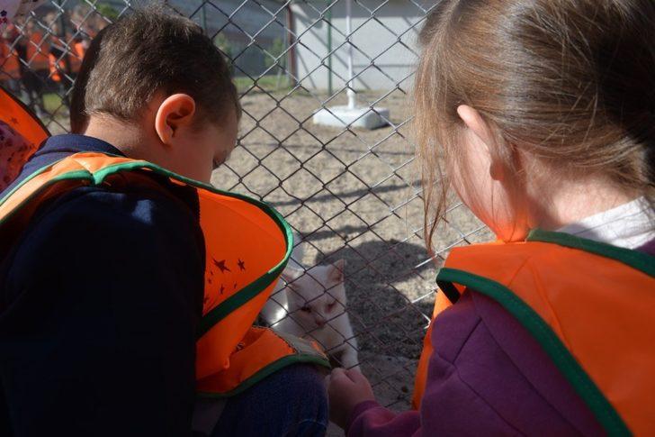 Miniklerin hayvan sevgisi G1