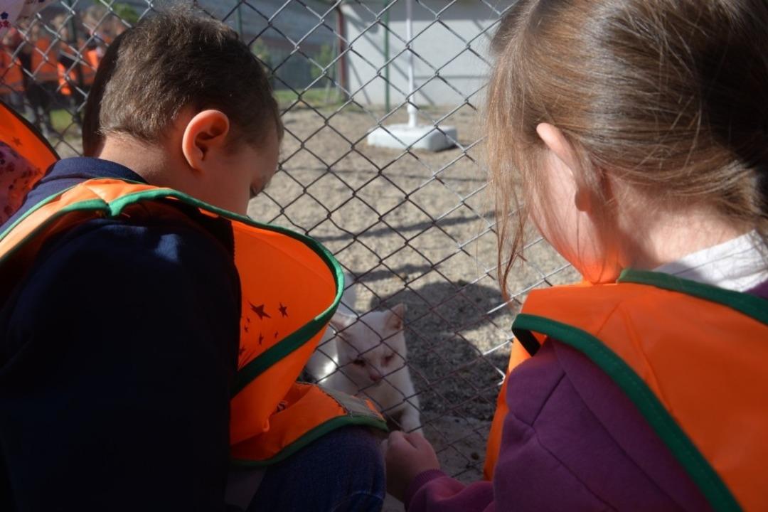 Miniklerin hayvan sevgisi