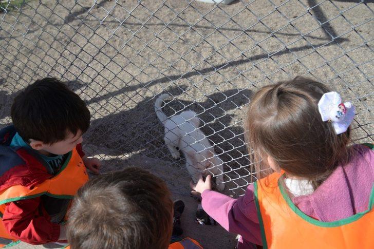 Miniklerin hayvan sevgisi G4