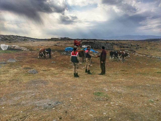 Arpaçay’da kaybolan hayvanlar bulundu