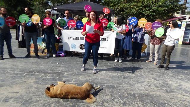 Çöplükte yaşayan hayvanlar unutulmadı