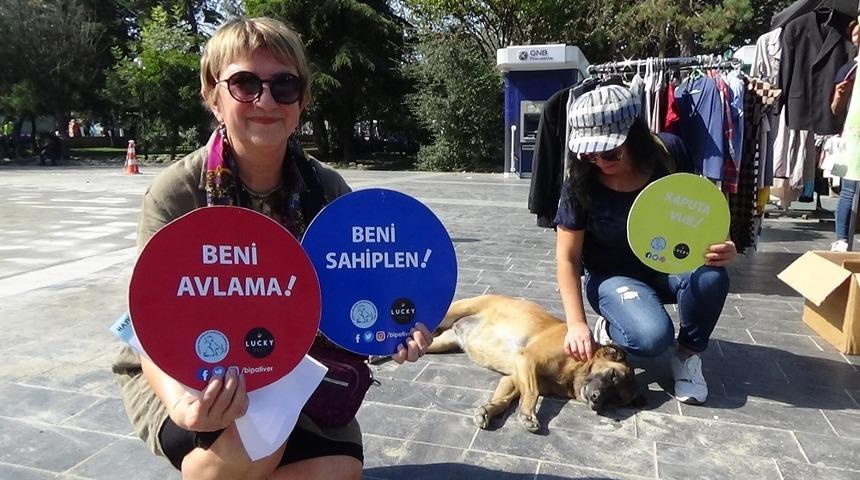 &Ccedil;&ouml;pl&uuml;kte yaşayan hayvanlar unutulmadı