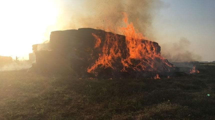 Ceyhan&rsquo;da binlerce saman balyası yandı