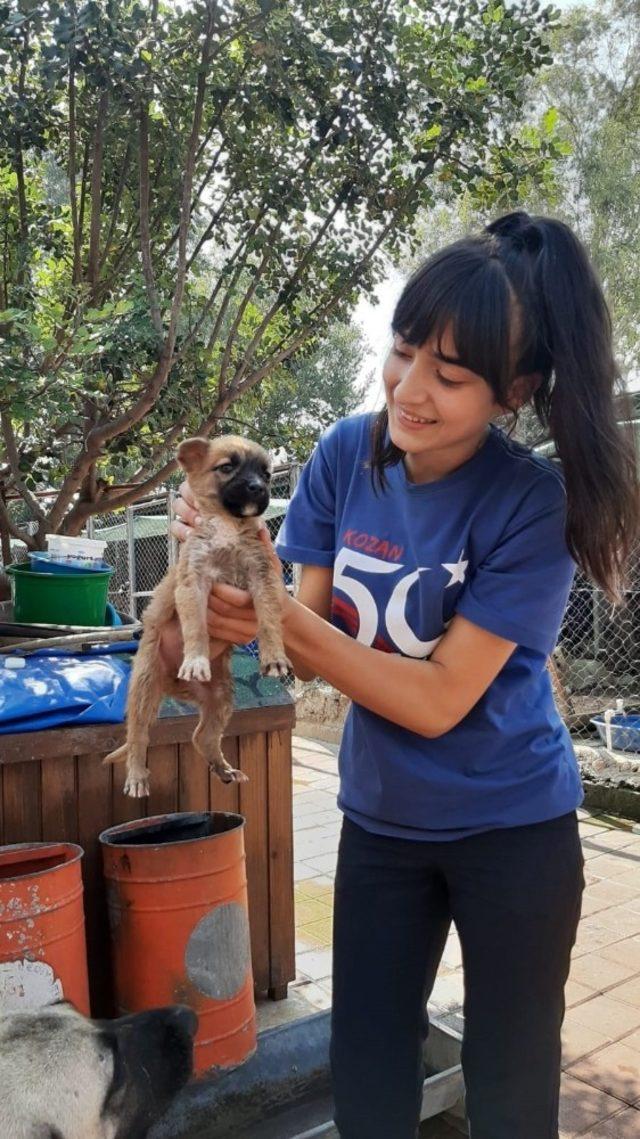 Öğrencilerden sokak hayvanlarına süt ve mama