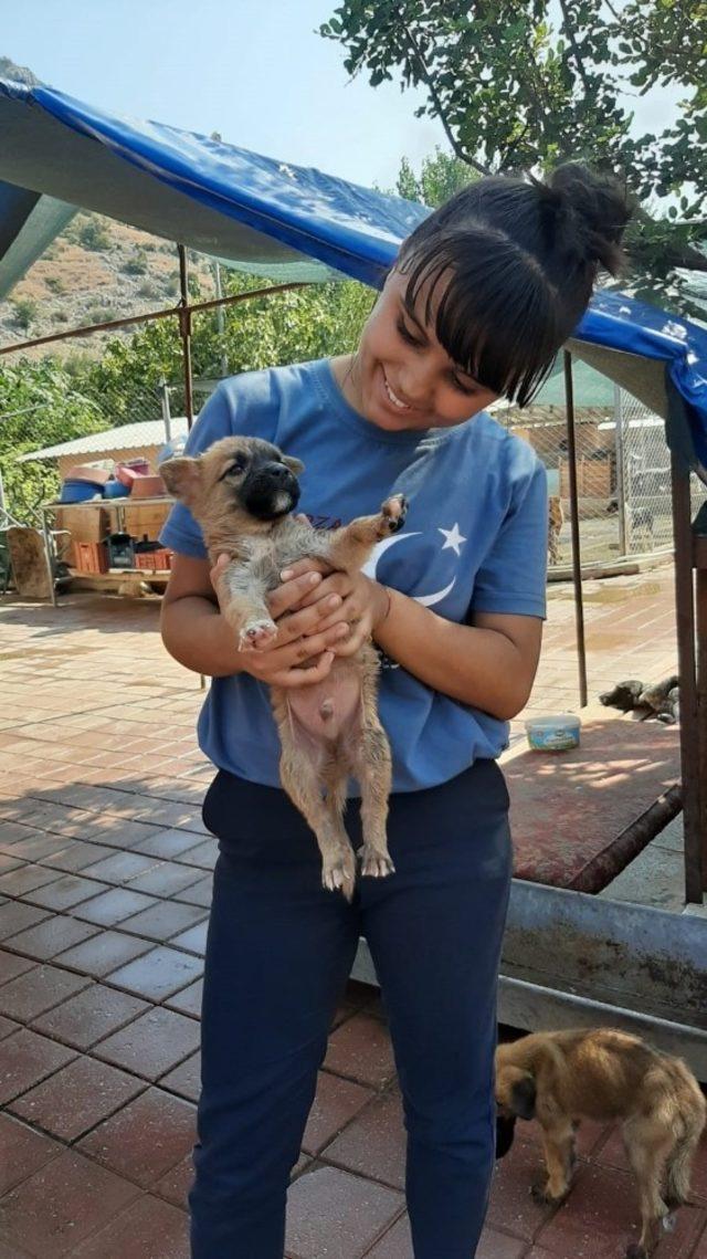 Öğrencilerden sokak hayvanlarına süt ve mama