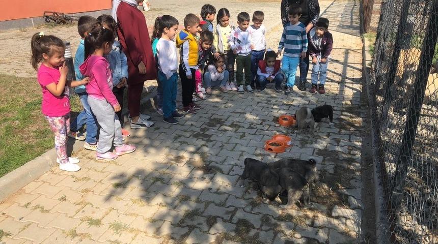 Bingöl’de öğrenciler hayvan barınağını gezdi
