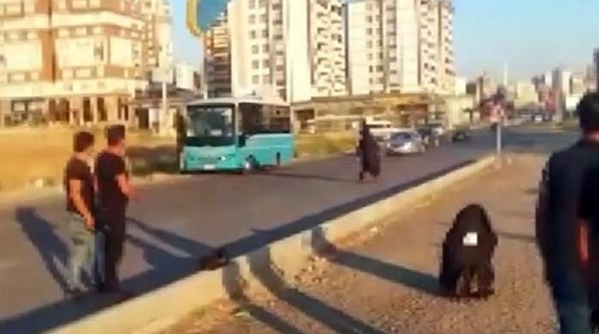 Paraş&uuml;t&ccedil;&uuml; karayoluna indi