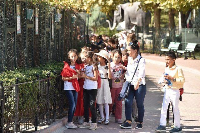 Karatay Hayvanat Bahçesi’ne öğrencilerden yoğun ilgi