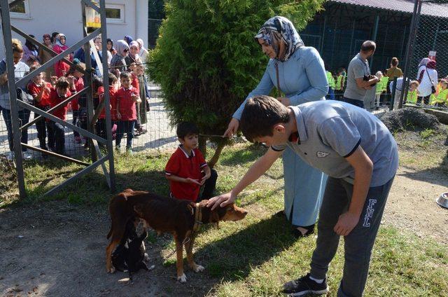 Öğrenciler, hayvan dostlarının yanında