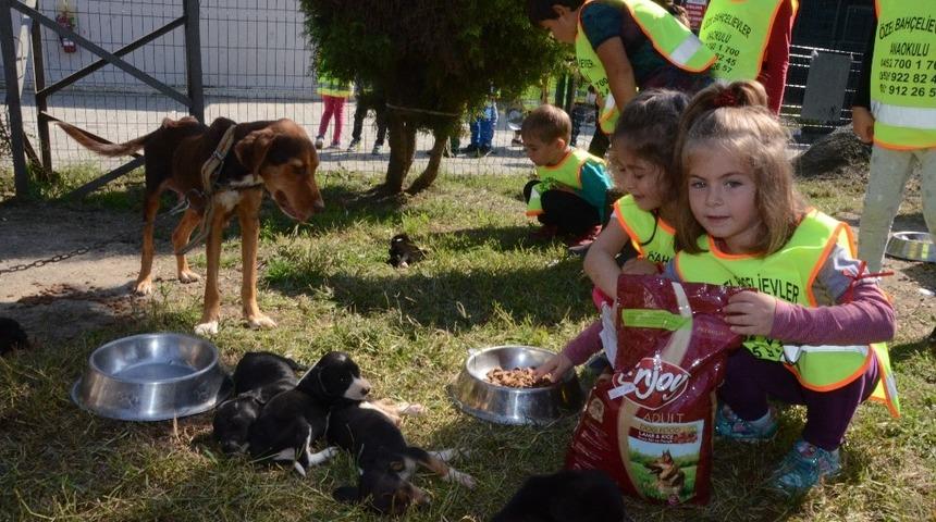 &Ouml;ğrenciler, hayvan dostlarının yanında