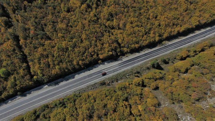 Yaralıgöz Geçidi'ni bir de sonbaharda görün G5