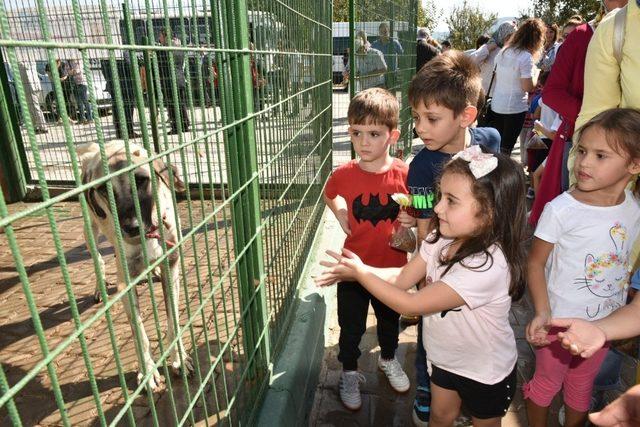 Çocuklar Hayvanları Koruma Gününü kutladı