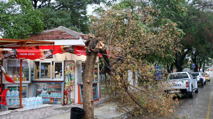 Trakya'da beklenen yağış başladı (2)