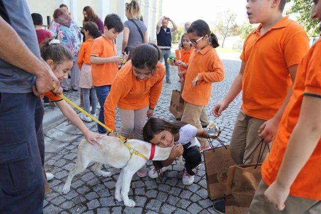 Kağıthane’de sokak hayvanları unutulmadı