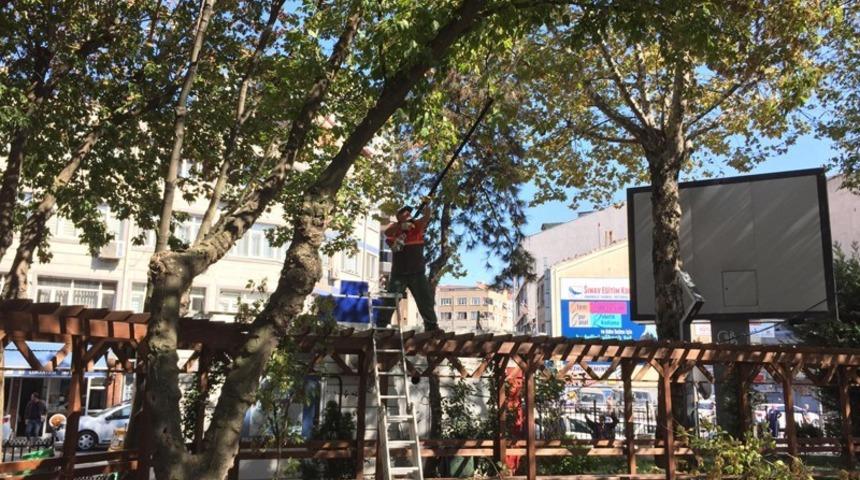 Bayrampaşa&rsquo;da parklara sonbahar bakımı