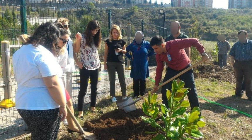 TRSM&rsquo;de ruh sağlığı haftasında fidan dikildi