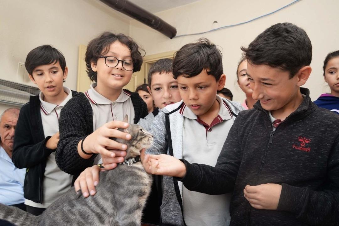 &Ouml;ğrenciler sokak hayvanlarını unutmadı