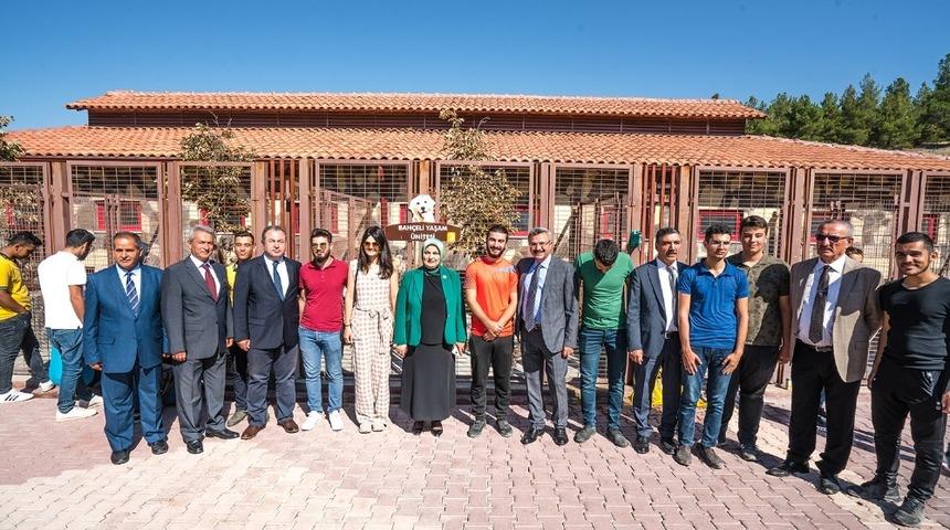 4 Ekim Hayvanları Koruma G&uuml;n&uuml;