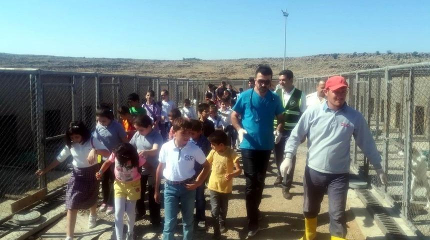Öğrenciler hayvan barınağını ziyaret etti