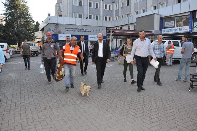 Terme’de hayvanlar için etkinlik