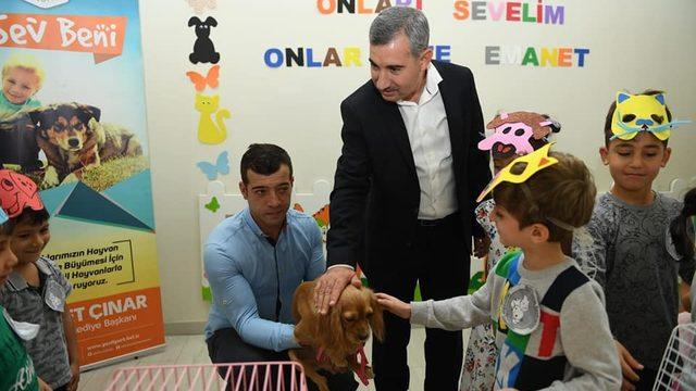 4 Ekim Dünya Hayvanları Koruma Günü