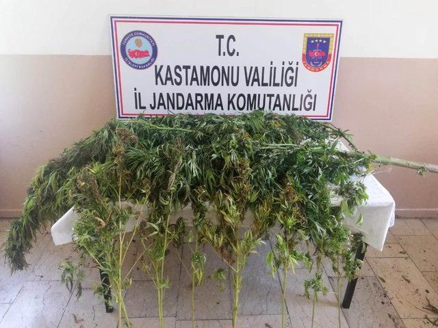 Kastamonu’da silah ve uyuşturucu operasyonu: 2 gözaltı