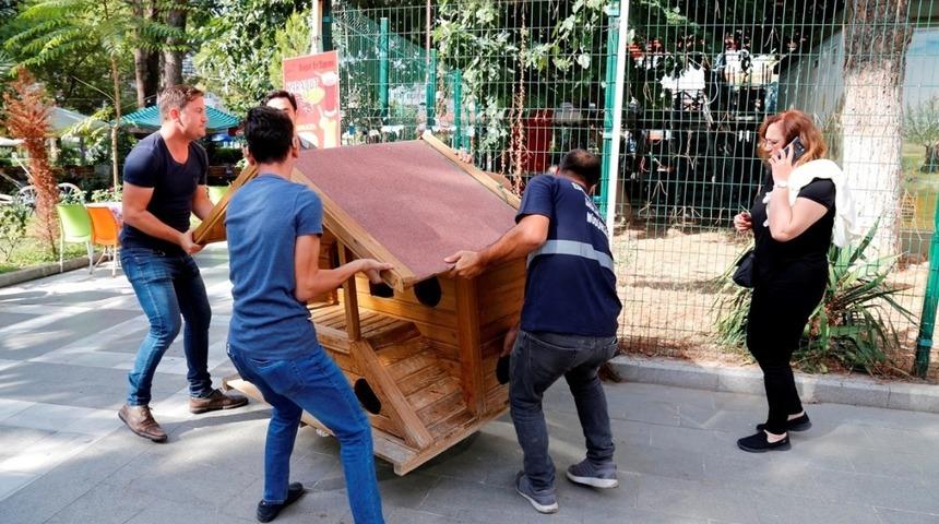 Edremit&rsquo;te kedi ve kuşların evleri oldu