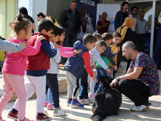 Vanlı miniklerden sevimli dostlara ziyaret