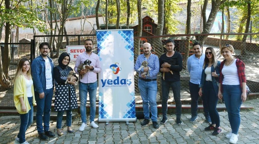 YEDAŞ &ccedil;alışanları &rsquo;barınak&rsquo;ta