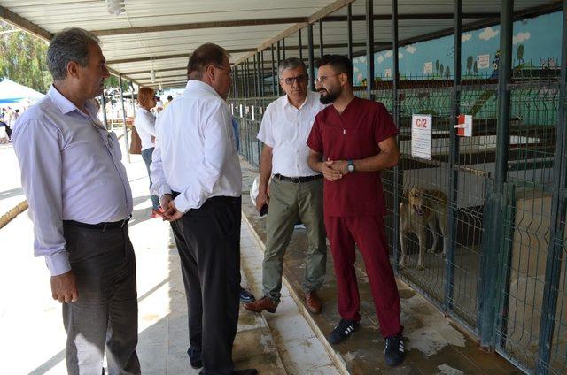 Didim’de Hayvanları Koruma Günü barınakta kutlandı