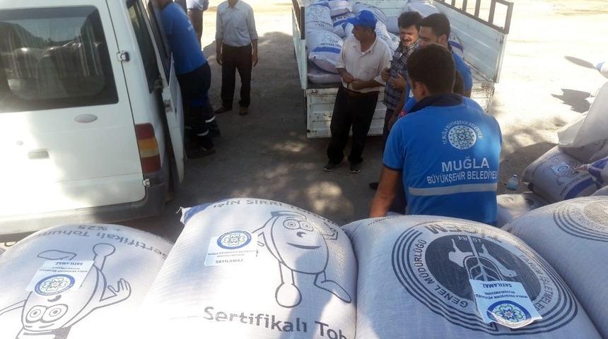 B&uuml;y&uuml;kşehir&rsquo;den hayvancılığa yem bitkisi desteği