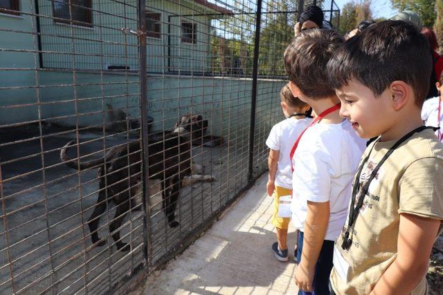 Sokak hayvanları için protokol imzalandı