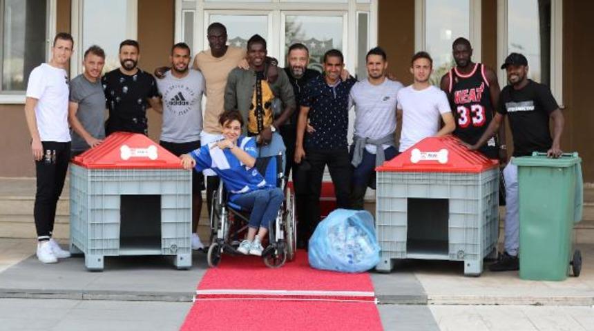 Sivasspor'dan sokak hayvanları projesine destek