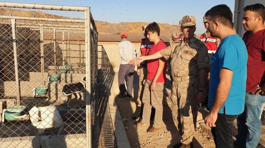 Jandarmadan k&ouml;peklere mama