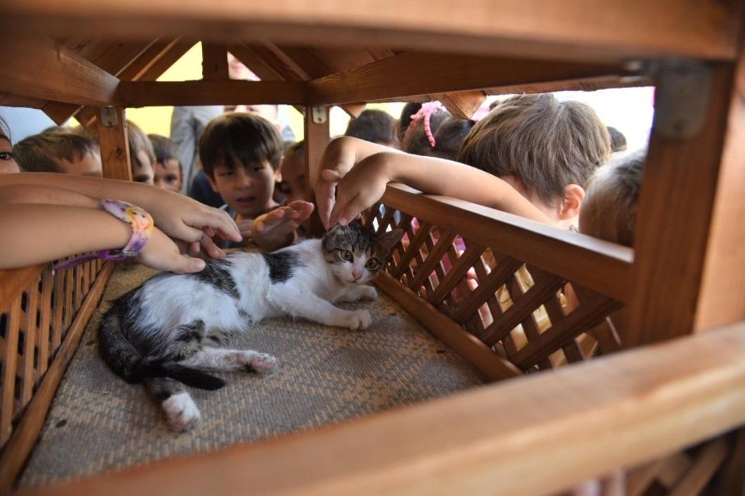 Karesi&rsquo;de hayvan sevgisi b&uuml;y&uuml;yor