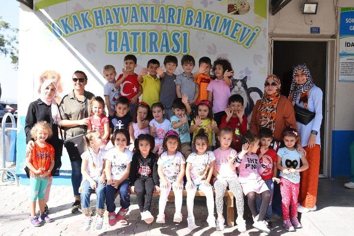 Balıkesir’de 4 bin 626 hayvan   sahiplendirildi G2