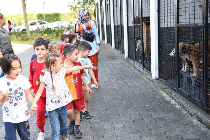 Balıkesir’de 4 bin 626 hayvan   sahiplendirildi G3