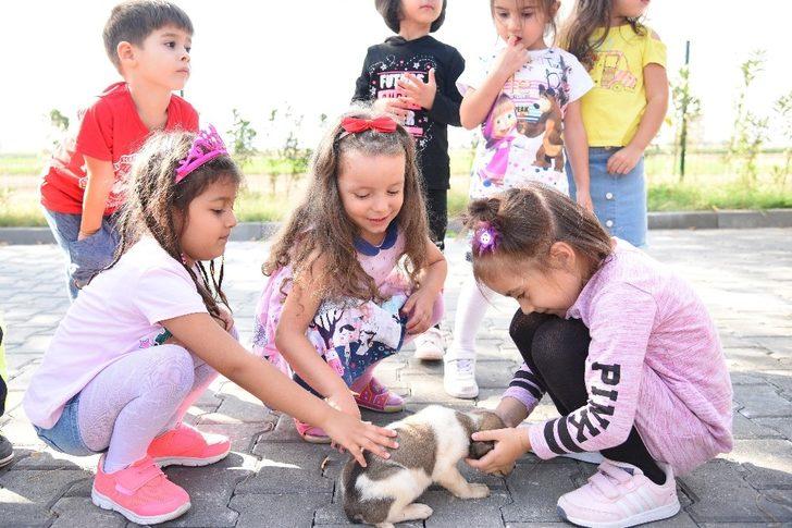 Balıkesir’de 4 bin 626 hayvan   sahiplendirildi G4