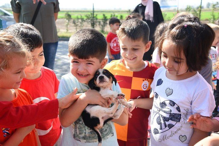 Balıkesir’de 4 bin 626 hayvan   sahiplendirildi G5