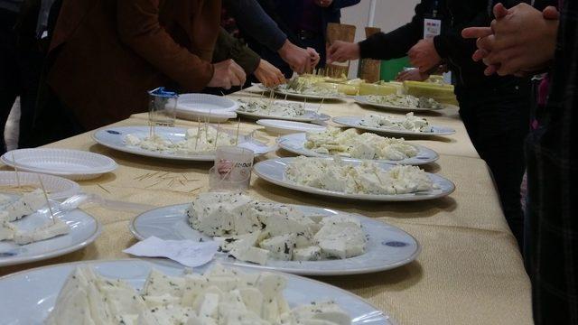 Ardahan’da peynir çeşitliliği artırılıyor