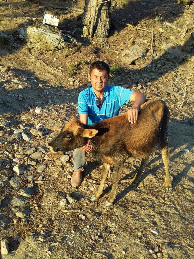 Kömür madeninin göçüğe neden olduğu iddiası