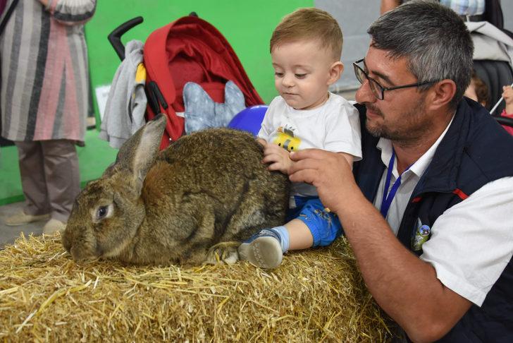 Fuarda 8 kiloluk tavşan, 'gülen' horoz ve 2 bin TL'lik kara tavuk ilgi gördü