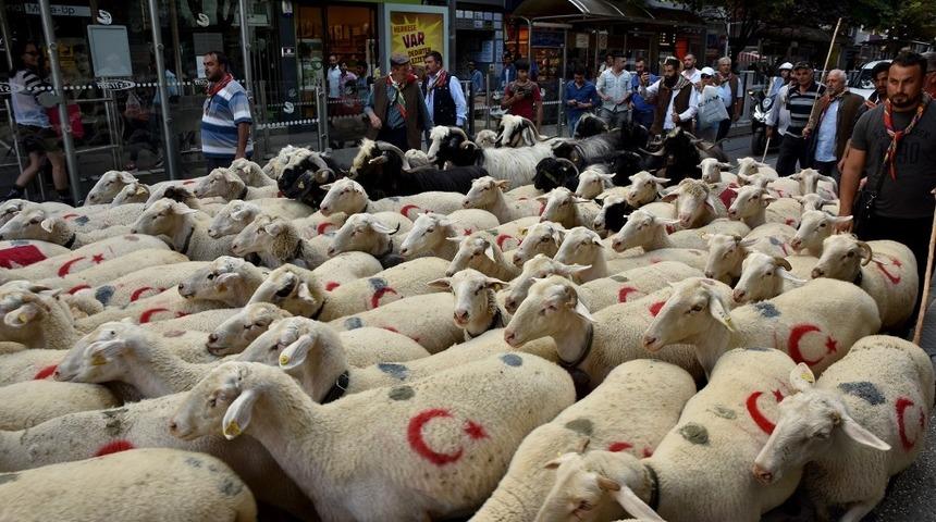 Çoban festivali renkli görüntüler ile başladı