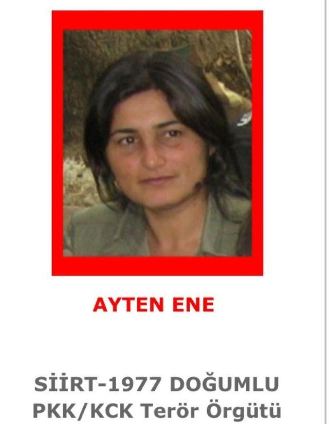 MİT ve Jandarma&rsquo;nın ortak operasyonunda 2 ter&ouml;rist etkisiz hale getirildi 1